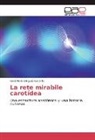 Godofredo Diéguez Castrillo - La rete mirabile carotídea