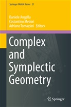 Daniele Angella, Costantin Medori, Costantino Medori, Adriano Tomassini - Complex and Symplectic Geometry