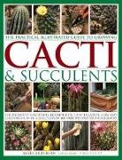 Miles Anderson, Anderson Miles, Terry Hewitt - Practical Illustrated Guide to Growing Cacti & Succulents