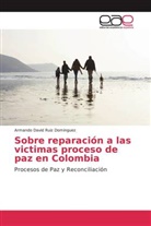 Armando David Ruiz Dominguez - Sobre reparación a las victimas proceso de paz en Colombia