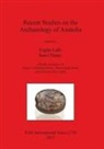 Ergün Lafli, Sami Pataci - Recent Studies on the Archaeology of Anatolia