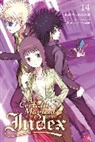 Kazuma Kamachi, Kamachi Kazuma, Kazuma Kamachi, Kiyotaka Haimura - A Certain Magical Index, Vol. 14 (light novel)