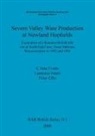 Peter Ellis, C. Jane Evans, Laurence Jones - Severn Valley Ware Production at Newland Hopfields