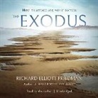 Richard Elliott Friedman - EXODUS 8D (Audio book)