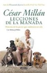 Cesar Millan, César Millán - Lecciones de la manada / Cesar Millan's Lessons From the Pack
