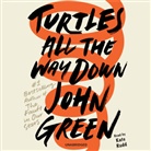 John Green, Penguin Random House, Kate Rudd, Kate Rudd - Turtles all The Way Down (Hörbuch)