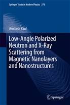 Amitesh Paul - Low-Angle Polarized Neutron and X-Ray Scattering from Magnetic Nanolayers and Nanostructures