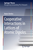 Robert Bettles - Cooperative Interactions in Lattices of Atomic Dipoles