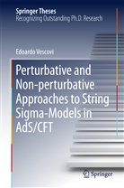 Edoardo Vescovi - Perturbative and Non-perturbative Approaches to String Sigma-Models in AdS/CFT