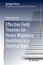 Simone Biondini - Effective Field Theories for Heavy Majorana Neutrinos in a Thermal Bath