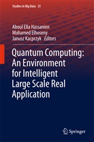 Mohame Elhoseny, Mohamed Elhoseny, Aboul Ella Hassanien, Janusz Kacprzyk - Quantum Computing:An Environment for Intelligent Large Scale Real Application