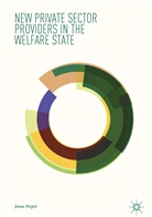 Jonas Pieper - New Private Sector Providers in the Welfare State