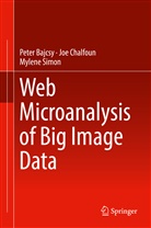 Pete Bajcsy, Peter Bajcsy, Jo Chalfoun, Joe Chalfoun, Mylene Simon - Web Microanalysis of Big Image Data