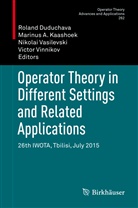 Marinu A Kaashoek, Marinus A Kaashoek, Roland Duduchava, Marinus A. Kaashoek, Nikolai Vasilevski, Nikolai Vasilevski et al... - Operator Theory in Different Settings and Related Applications