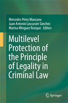 Jua Antonio Lascuraín Sánchez, Juan Antonio Lascuraín Sánchez, Juan A. Lascuraín Sánchez, Juan Antonio Lascuraín Sánchez, M Mínguez Rosique, Marina Mínguez Rosique... - Multilevel Protection of the Principle of Legality in Criminal Law