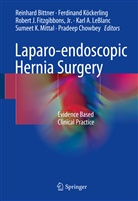 Reinhard Bittner, Pradeep Chowbey, Fitzgibbons, Jr. Fitzgibbons, Robert J. Fitzgibbons, Robe J Fitzgibbons Jr et al... - Laparo-endoscopic Hernia Surgery