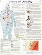 Anatomical Chart Company - Risks of Obesity Anatomical Chart Laminated