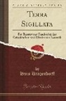 Hans Dragendorff - Terra Sigillata: Ein Beitrag Zur Geschichte Der Griechischen Und Römischen Keramik (Classic Reprint)
