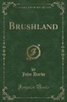 John Darby - Brushland (Classic Reprint)