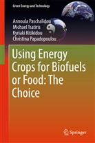 Kitikidou, Kyriaki Kitikidou, Christina Papadopoulou, Annoul Paschalidou, Annoula Paschalidou, Michae Tsatiris... - Using Energy Crops for Biofuels or Food: The Choice