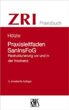 Hölzle Gerrit, Gerrit Hölzle - Praxisleitfaden SanInsFoG