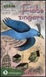 Alberto Melis - Fiabe zingare