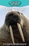 Victoria Blakemore - Walruses