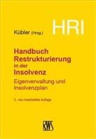Bruno M. Kübler, Brun M Kübler - HRI - Handbuch Restrukturierung in der Insolvenz