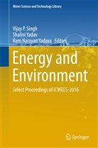 Ram Narayan Yadava, Vijay P Singh, Vijay P. Singh, Shalin Yadav, Shalini Yadav, Ram Narayan Yadava - Energy and Environment