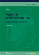Peter Bülow - Recht der Kreditsicherheiten