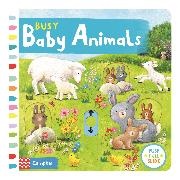 Ag Jatkowska,  Jatkowska Ag - Busy Baby Animals