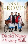 Annie Groves, Groves Annie - The District Nurses