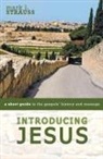 Mark L. Strauss, STRAUSS MARK L. - Introducing Jesus