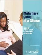Carmel Bagness, P Lindsay, Patricia Lindsay, Patricia Bagness Lindsay, Ian Peate, Carmel Bagness... - Midwifery Skills At a Glance
