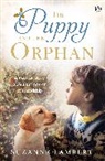 Suzanne Lambert, Lambert Suzanne - The Puppy and the Orphan
