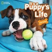 Seth Casteel, National Geographic Kids - It's a Puppy's Life