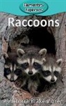 Victoria Blakemore - Raccoons