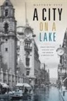 Matthew Vitz - City on a Lake