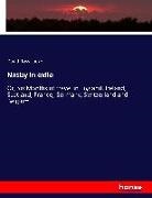 David Ross Locke - Nasby in exile