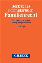 Ludwig Bergschneider, Ludwi Bergschneider (Dr.), Ludwig Bergschneider (Dr.), Hanspet Bernhardt u a - Beck'sches Formularbuch Familienrecht