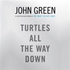 John Green - Turtles All the Way Down (Audio book)