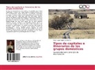 Edson Javier Aguilera Zertuche - Tipos de capitales e itinerarios de los grupos domésticos