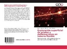 Javie Arciniegas Villamizar, Javier Arciniegas Villamizar, Jaime Meneses - Exploración superficial de grietas y deformaciones en tubería flexible