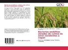 Edi Arroyo C, Edin Arroyo C, Edin Arroyo C., Chamorro A, Leonardo Chamorro A., Alexande Pérez Cordero... - Bacterias endófitas aisladas de cultivo de arroz resistentes a níquel