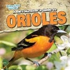 Grace Elora - A Bird Watcher's Guide to Orioles