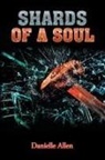 Danielle Allen - Shards of a Soul