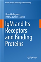 Peter D. Burrows, D Burrows, D Burrows, Hirom Kubagawa, Hiromi Kubagawa - IgM and Its Receptors and Binding Proteins