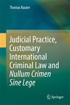 Thomas Rauter - Judicial Practice, Customary International Criminal Law and Nullum Crimen Sine Lege