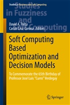 Davi A Pelta, David A Pelta, Cruz Corona, Cruz Corona, Carlos Cruz Corona, David A. Pelta - Soft Computing Based Optimization and Decision Models