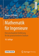 Thomas Riessinger - Mathematik für Ingenieure